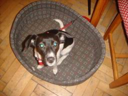 Resize of DSC01417.JPG